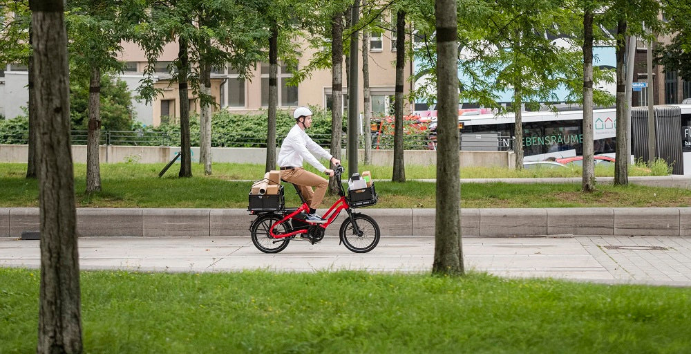 A person riding a red Tern cargo bicycle in a park carrying things on the bike.