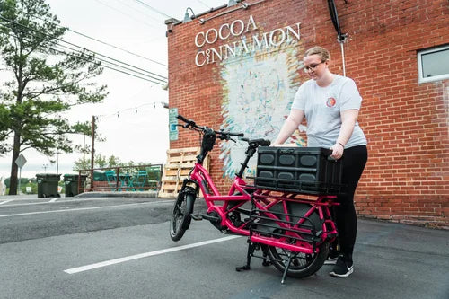 Tern Lockstand QuadStruts