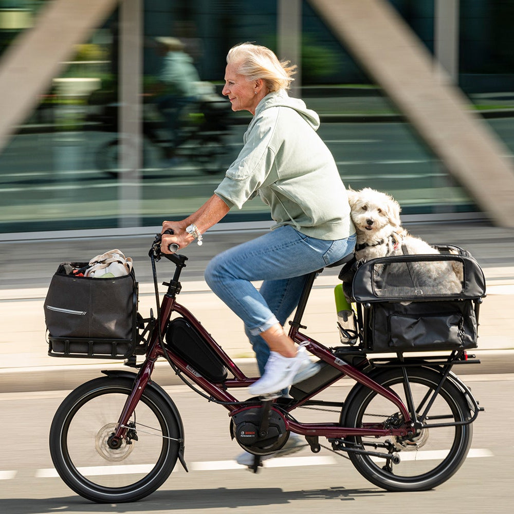 Person riding an electric bike with a dog in a basket on a city street.