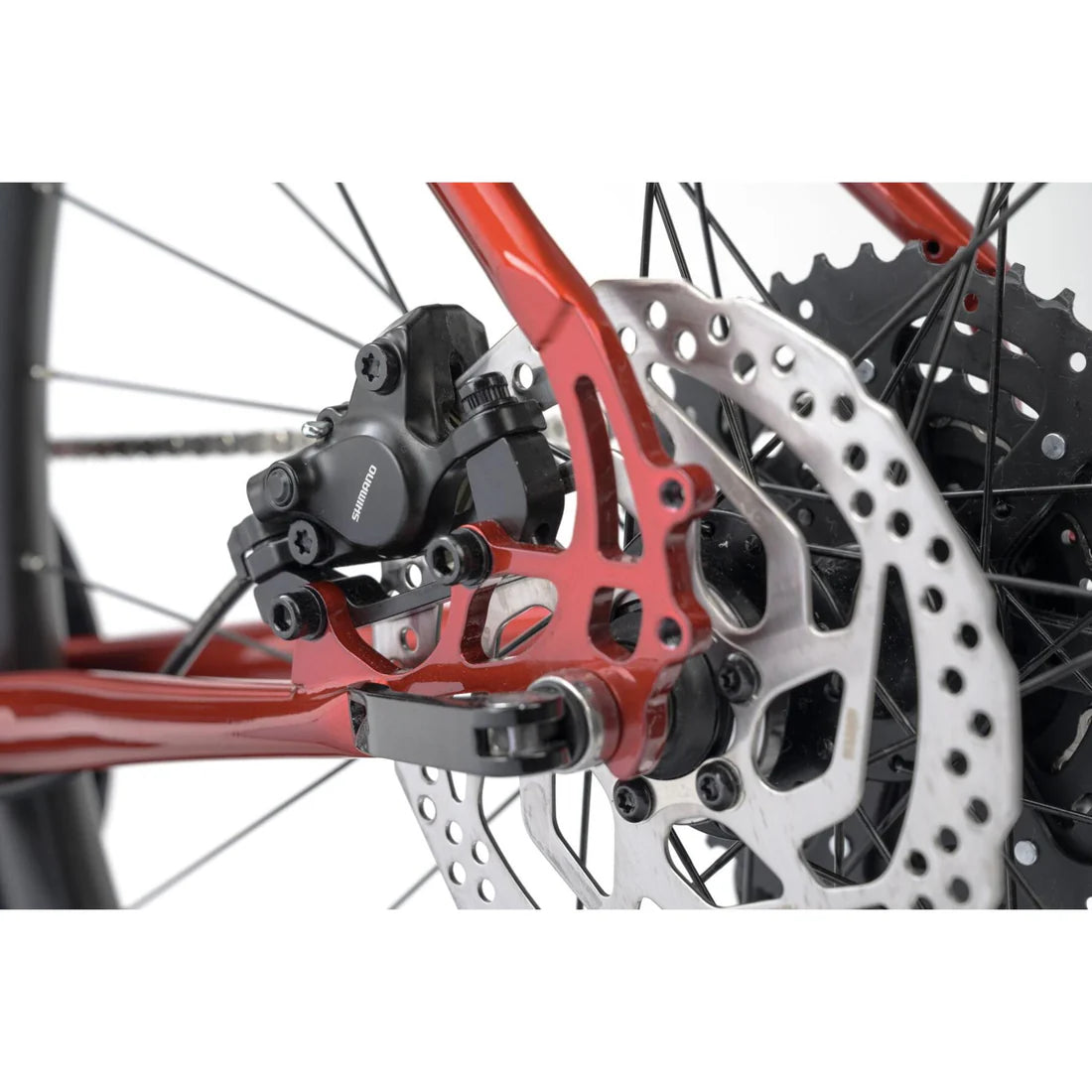 Close-up of a bicycle's disc brake system with red frame and silver components.