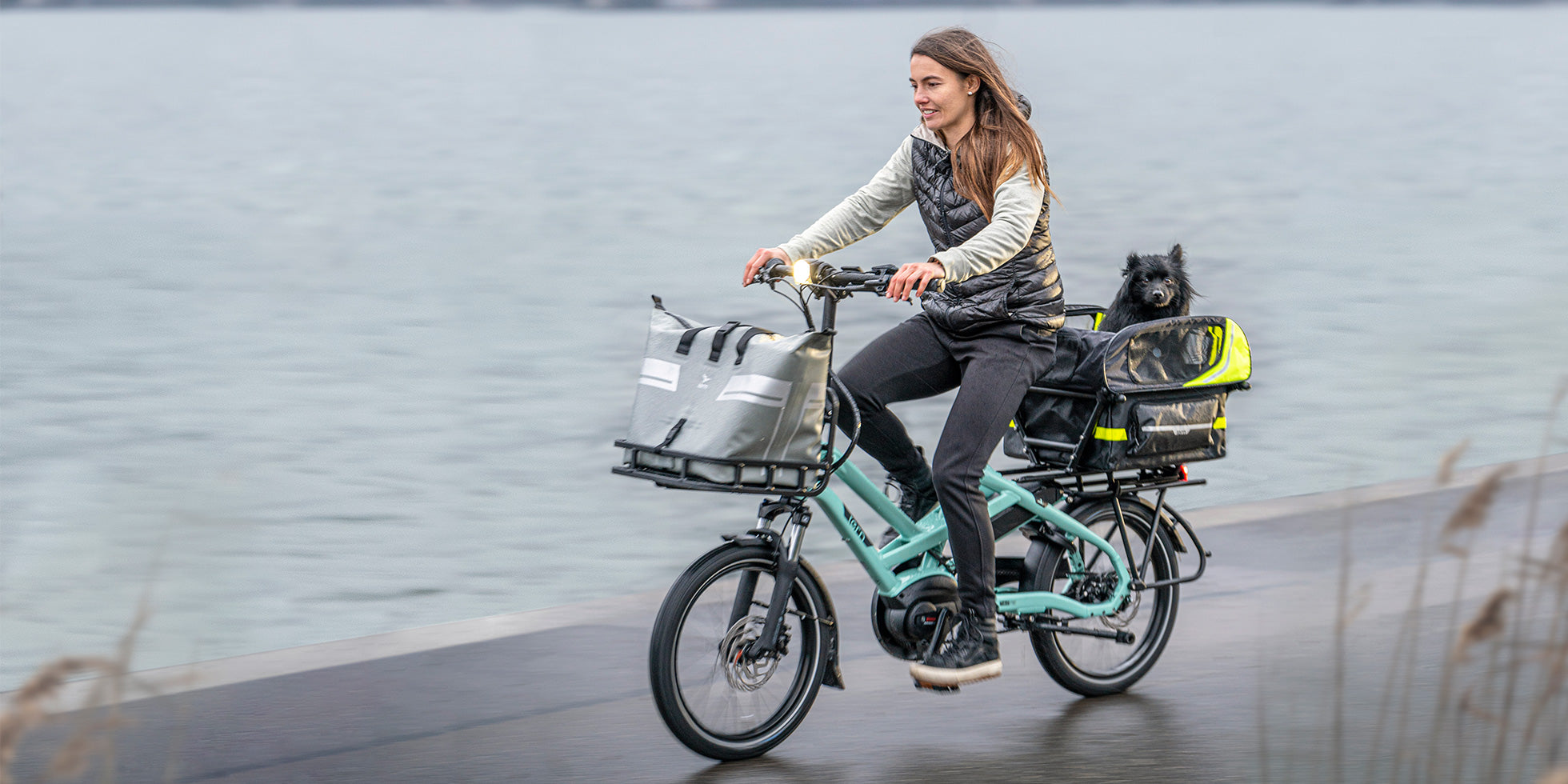 Woman riding a cargo bike with a dog in a basket by a body of water.